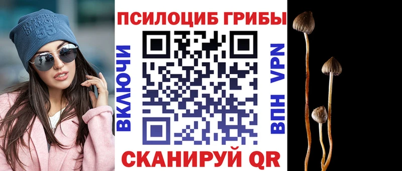 Галлюциногенные грибы ЛСД  Донской 